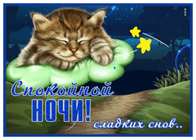 Postcard открытка спокойной ночи, сладких снов с котиком