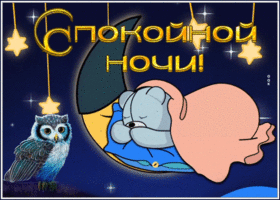 Picture открытка спокойной ночи со спящим мишкой под одеялом