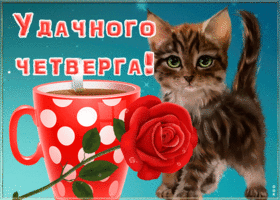 Picture открытка удачного четверга с котенком