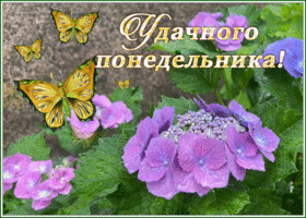Picture открытка удачного понедельника с красивыми цветами