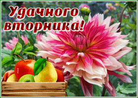 Postcard открытка удачного вторника с великолепным цветком