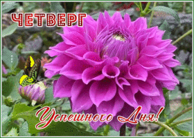 Postcard открытка успешного четверга с ярким цветком