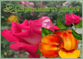 Postcard открытка хорошего дня со спелыми персиками