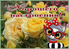 Postcard открытка хорошего настроения с букетом желтых роз
