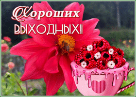 Picture открытка хороших выходных с ярким цветком и малиной