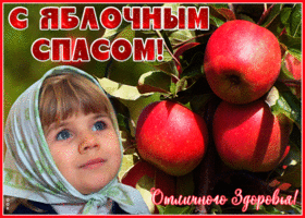 Картинка открытка яблочный спас, отличного здоровья