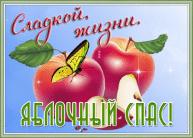 Открытка открытка яблочный спас, сладкой жизни