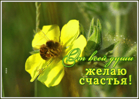Картинка открытка желтые цветы и пожелания