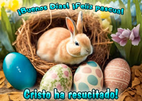 Picture pascua