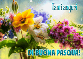 Postcard pasqua