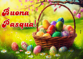 Postcard pasqua
