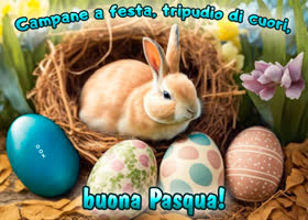 Picture pasqua