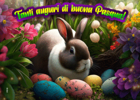 Postcard pasqua