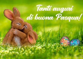 Postcard pasqua