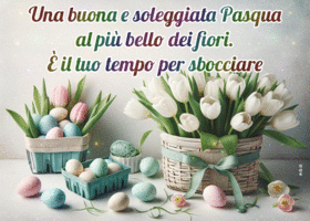 Picture pasqua