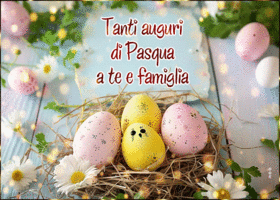 Picture pasqua