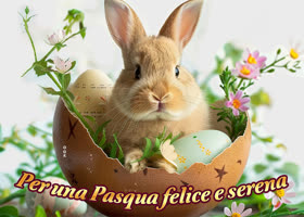 Picture pasqua