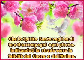Picture pentecoste