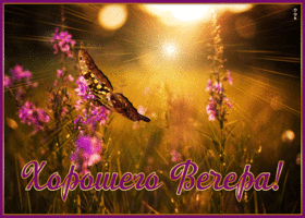 Postcard прекрасная картинка хорошего вечера с бабочкой и цветами