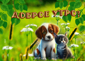 Picture прелестная открытка доброе утро с животными