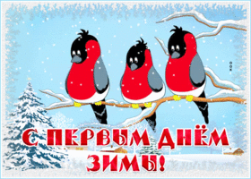Картинка прикольная открытка первый день зимы