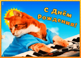 Открытка прикольная открытка с днем рождения с котиком
