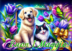 Picture primo maggio