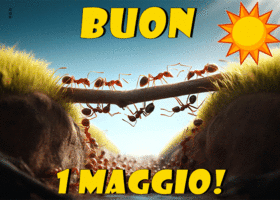 Picture primo maggio