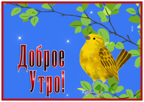 Picture приятная открытка доброе утро с птичкой