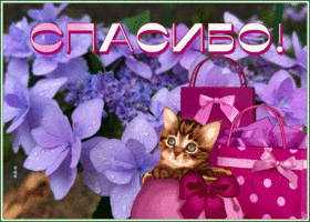 Postcard приятная открытка спасибо с цветами и котиком