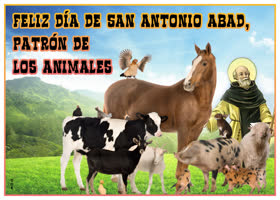 Picture san antón