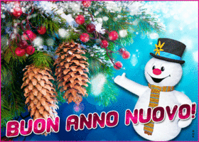Picture san silvestro