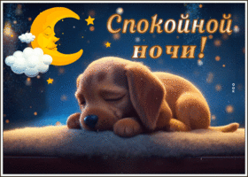 Picture сердечная гиф-открытка милый щенок желает спокойной ночи