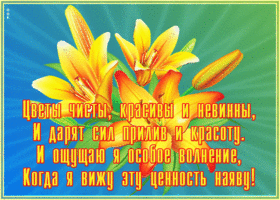 Открытка шикарная открытка с цветами