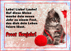 Picture silvester