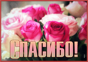 Postcard сияющая открытка спасибо с розами