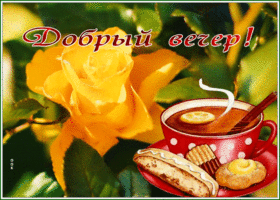 Picture славная открытка добрый вечер с розочкой и чаем