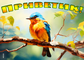 Picture солнечная открытка с птичкой приветик