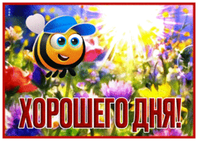 Postcard стильная гиф-открытка с пчелкой, хорошего денечка