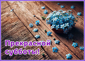 Picture суббота – открытка для счастья