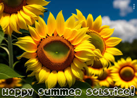 Postcard summer solstice