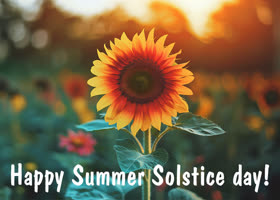 Picture summer solstice