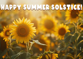 Picture summer solstice