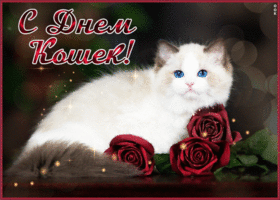 Открытка супер открытка празднуем всемирный день кошек