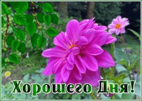 Postcard супер открытка хорошего дня с кофе и цветком