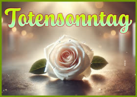 Postcard totensonntag