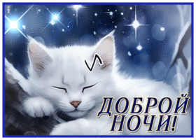 Postcard трогательная гиф-открытка, доброй ночи от спящего котика