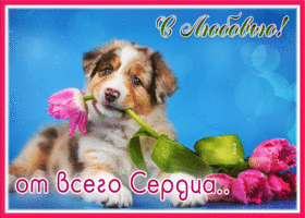 Postcard трогательная картинка от всего сердца с щеночком и тюльпанами