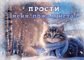Postcard тёплая гиф-открытка с милым котиком, просит прощения