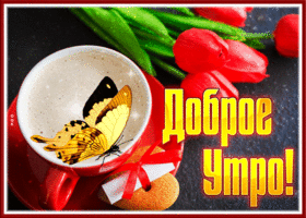 Picture великолепная открытка доброе утро с тюльпанами и бабочкой